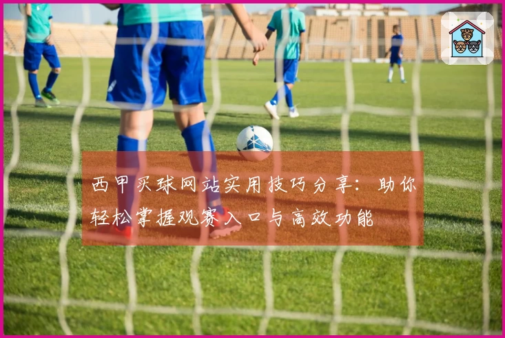 西甲买球网站实用技巧分享：助你轻松掌握观赛入口与高效功能