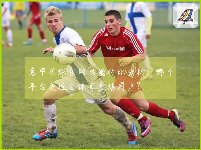 意甲买球官网功能对比分析：哪个平台更适合体育直播用户？